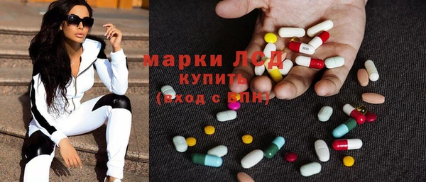 хмурый Алексин