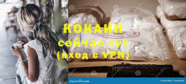 хмурый Алексин