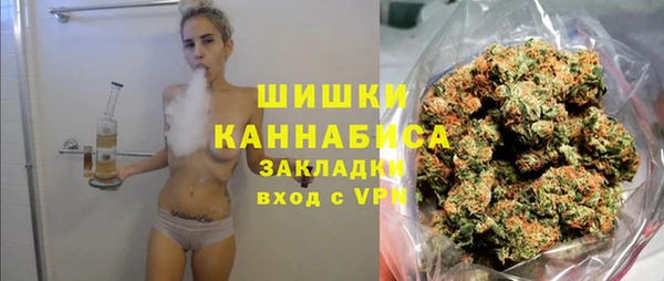 молекула духа Протвино
