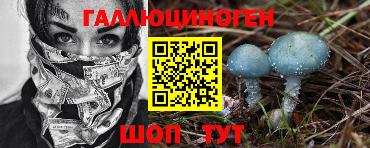 Псилоцибиновые грибы Cubensis Петровск
