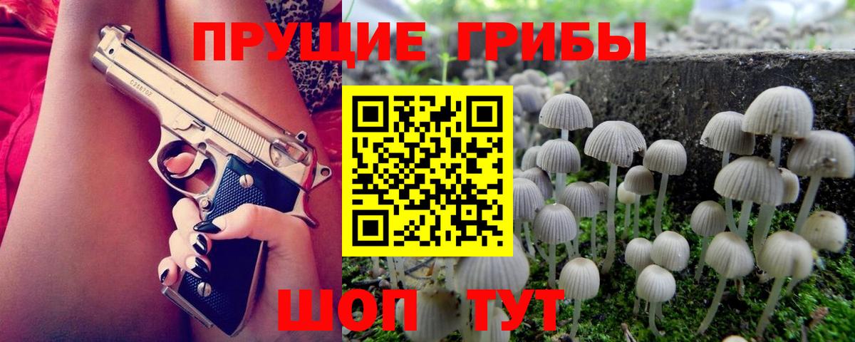 Петровск  Галлюциногенные грибы ЛСД  Вход с VPN 